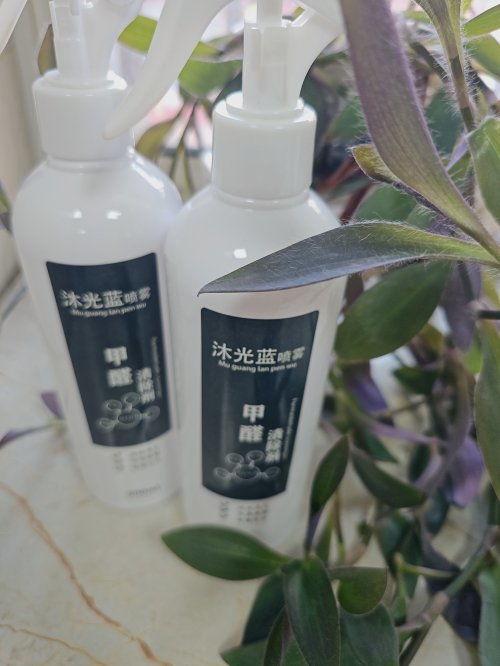 2025年新房裝修除甲醛產(chǎn)品效果橫評 排行榜