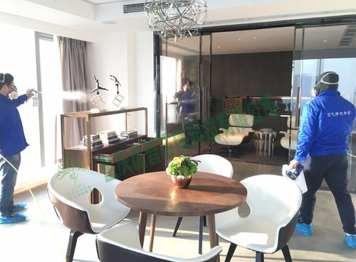 合川專業(yè)除甲醛服務(wù) 室內(nèi)空氣質(zhì)量治理與凈化器租賃全解析